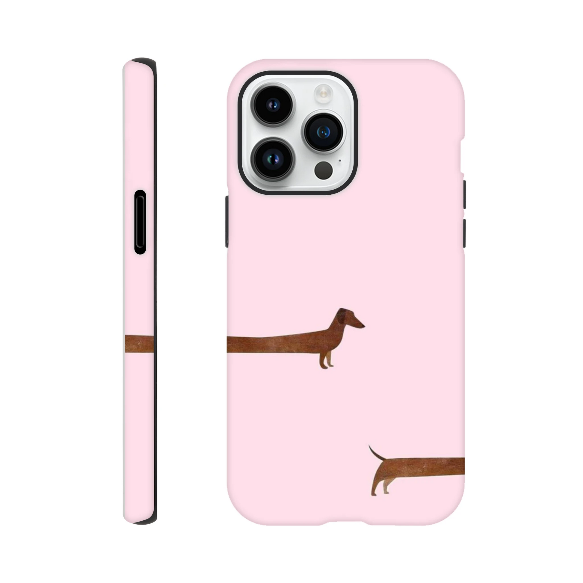 31e816a3-e397-421f-b2f2-1d1ee3100bc4